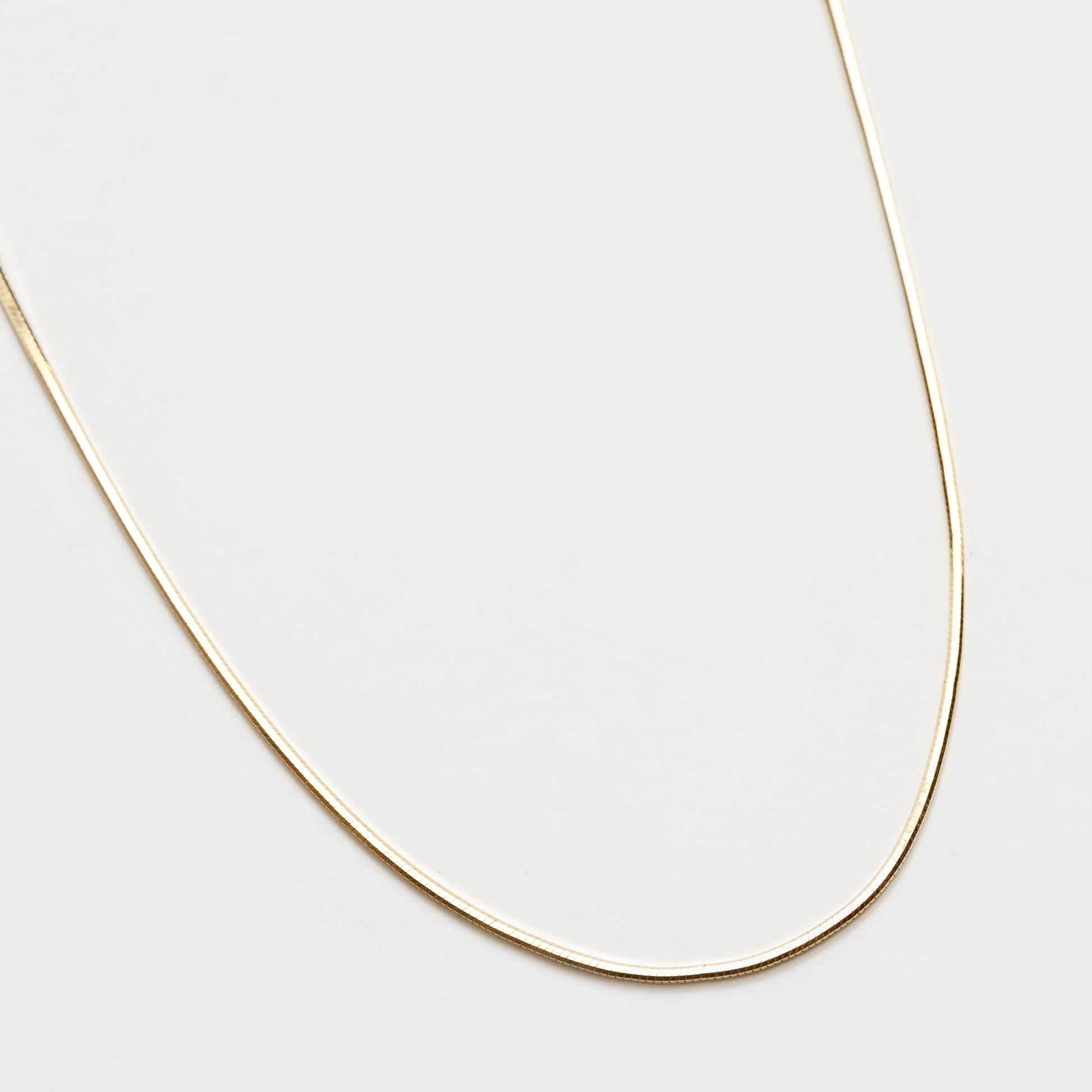 An everyday gold snake style chain Sylvie necklace by Wolf Circus.
