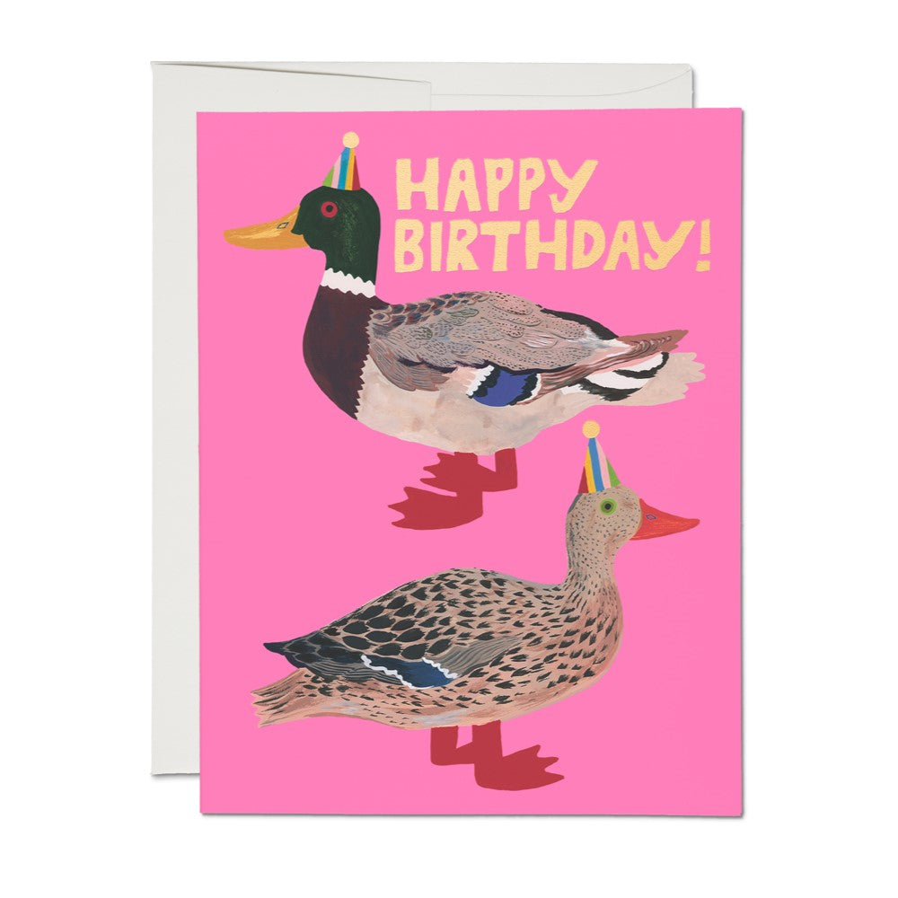 A happy birthday greeting card with mallard ducks in birthday party hats and a hot pink background. Quacky Birthday!