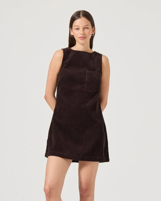 Chocolate brown corduroy shift dress by Rolla's with a pocket and exposed zipper back