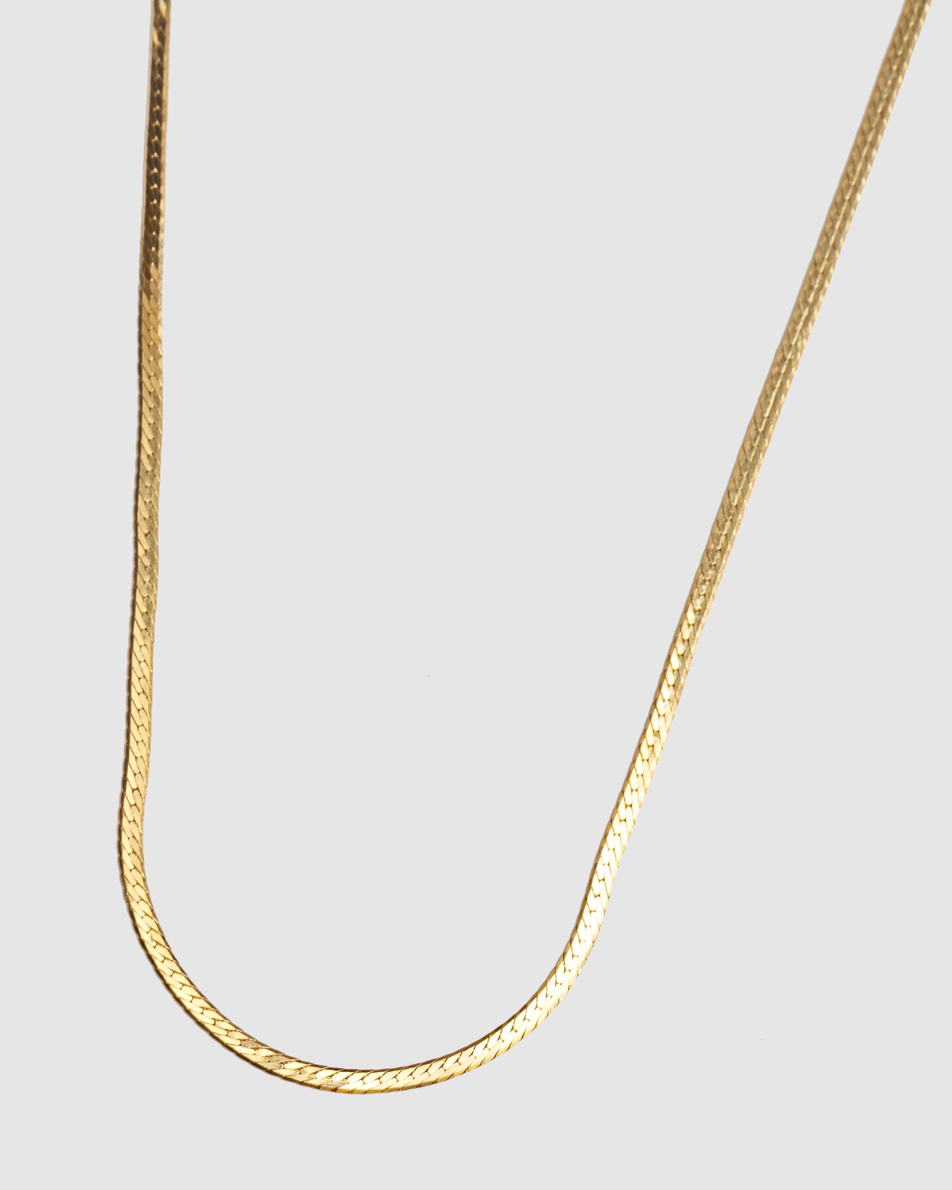 A thin herringbone gold chain necklace for everyday wear by Wolf Circus.